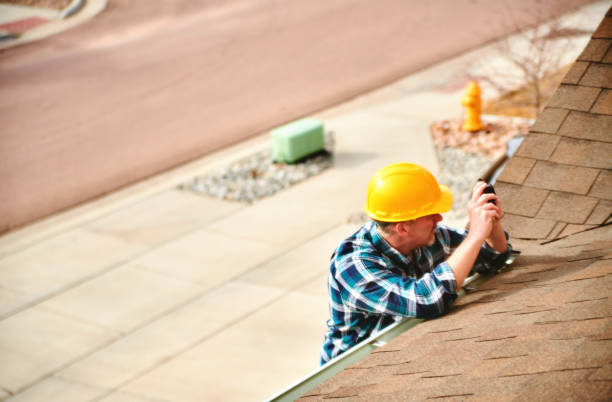 Best Roof Gutter Cleaning  in St Henry, OH
